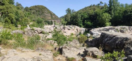 IMG-20220527-WA0002