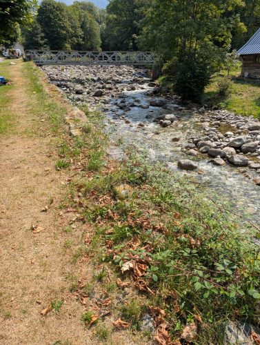 PXL 20250816 105808705.MP 