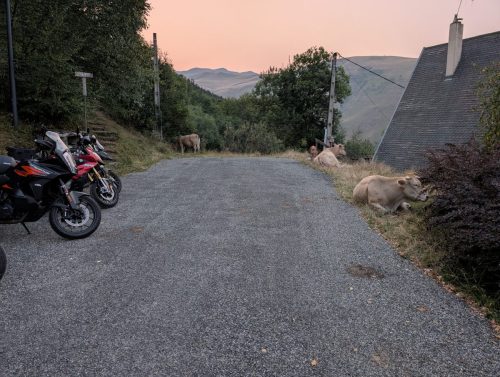 PXL 20250816 191241310.MP 