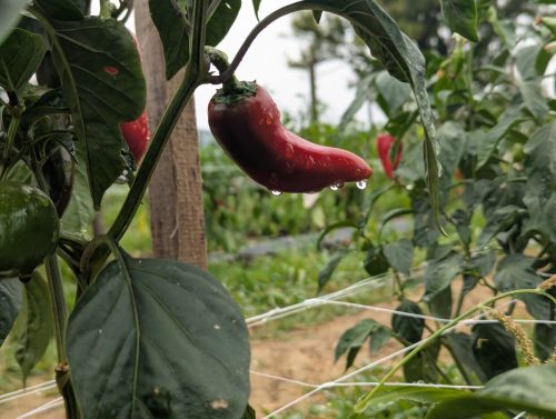 PXL 20250819 122140481