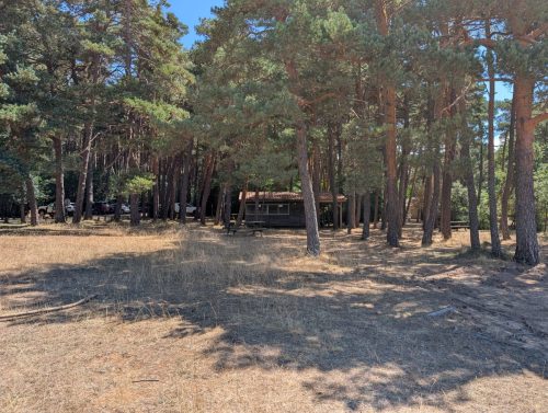 PXL 20250820 105220033