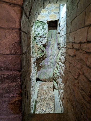 PXL 20250820 123208329