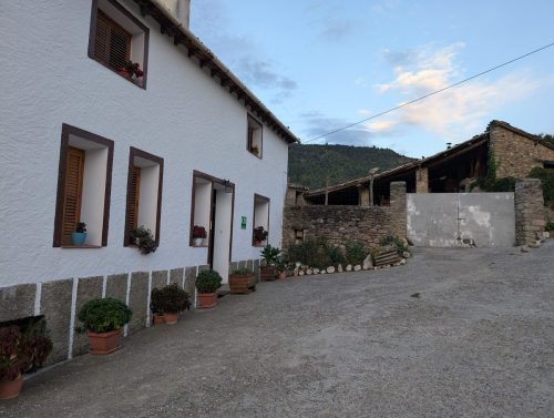 PXL 20250821 052624393