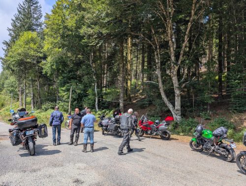 PXL 20250822 124713757