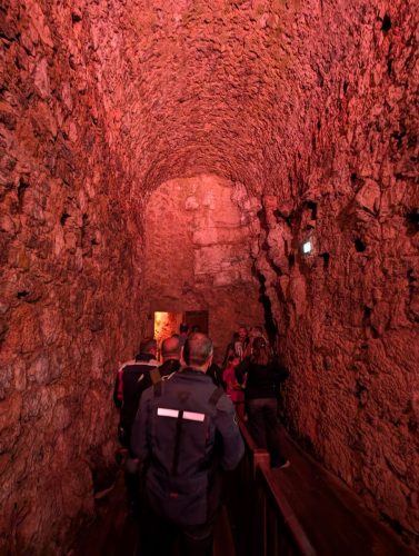 PXL 20250822 150831907.MP 