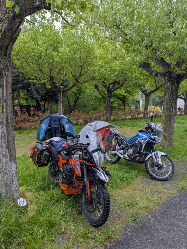 PXL 20250502 161251416