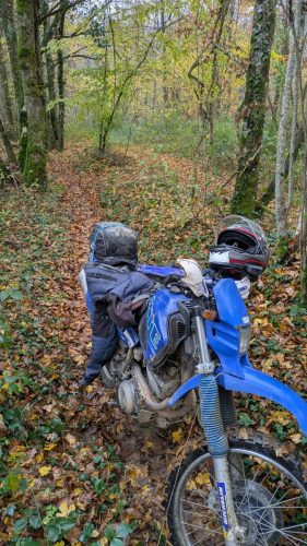 PXL 20251109 104126522