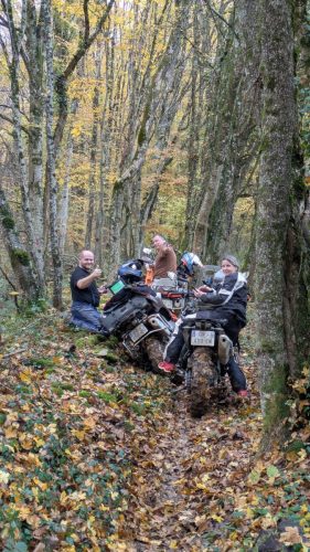 PXL 20251109 104151344