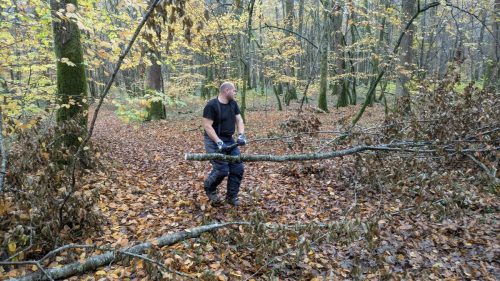 PXL 20251109 111346593