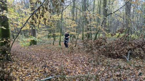 PXL 20251109 111352814