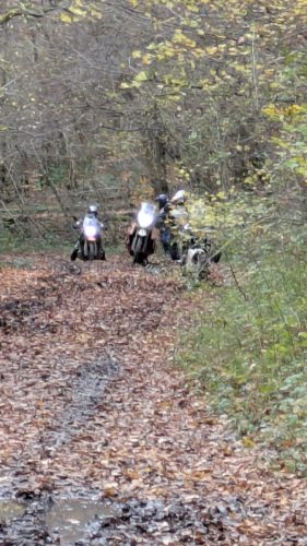 PXL 20251109 140500678