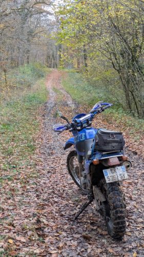 PXL 20251109 140550695