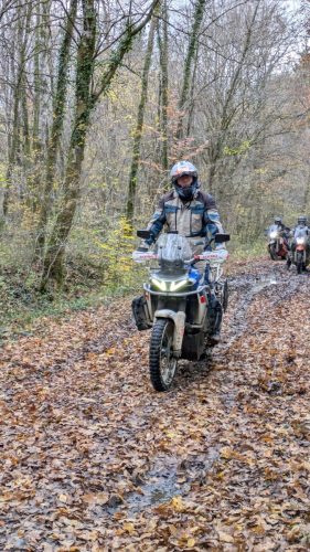 PXL 20251109 140614054