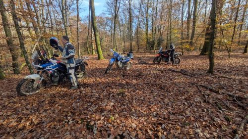 PXL 20251110 121905786