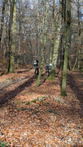 PXL 20251110 121919317