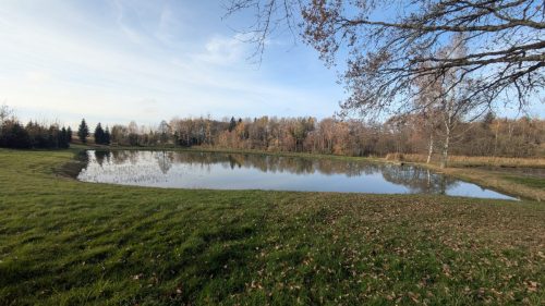 PXL 20251110 125906926