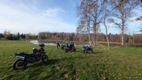 PXL 20251110 125952915