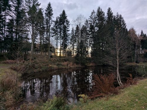 PXL 20251110 152035784