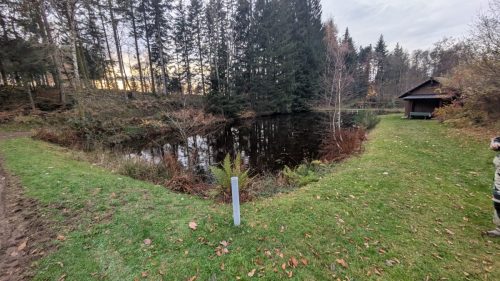 PXL 20251110 152043363