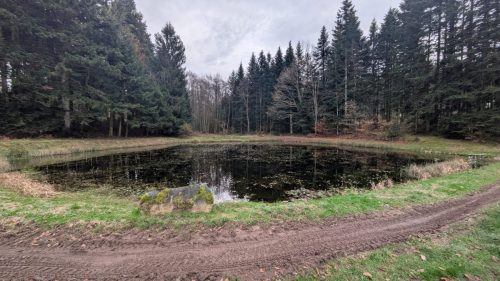 PXL 20251110 152049377