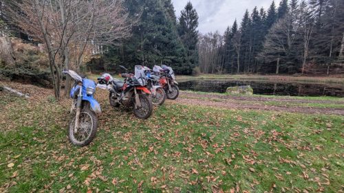 PXL 20251110 152118345