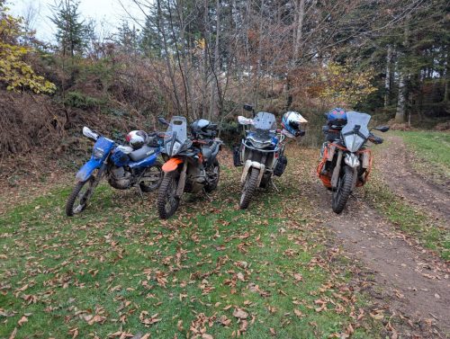 PXL 20251110 152122332